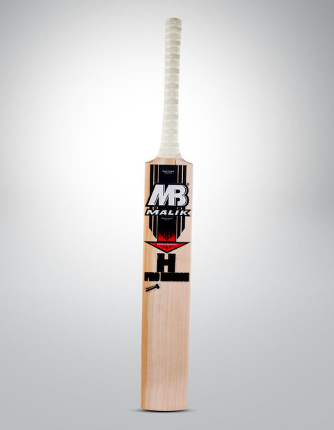H - Pro Edition English Willow Bat